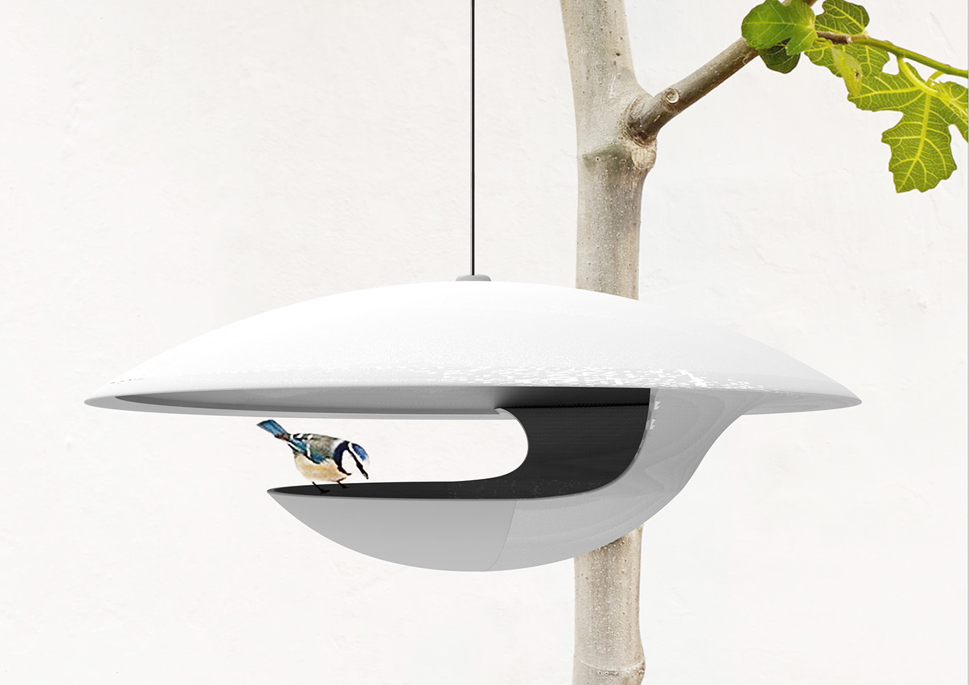 Bird's nest，crowd，Bird feeder，