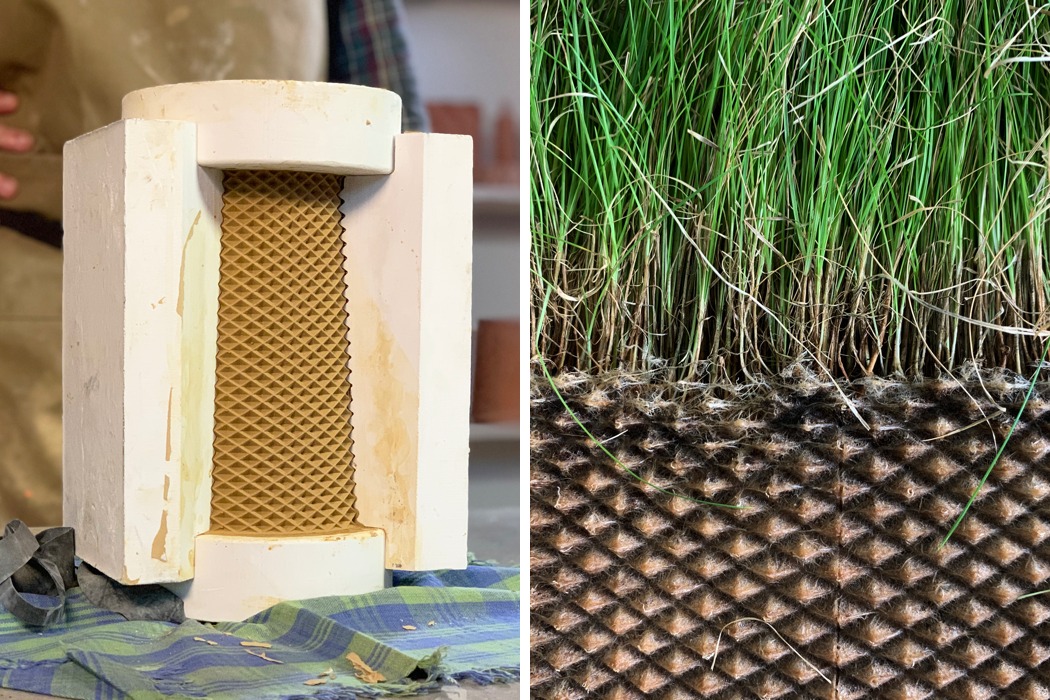 seeder，Botany，Hydroponic culture，convenient，