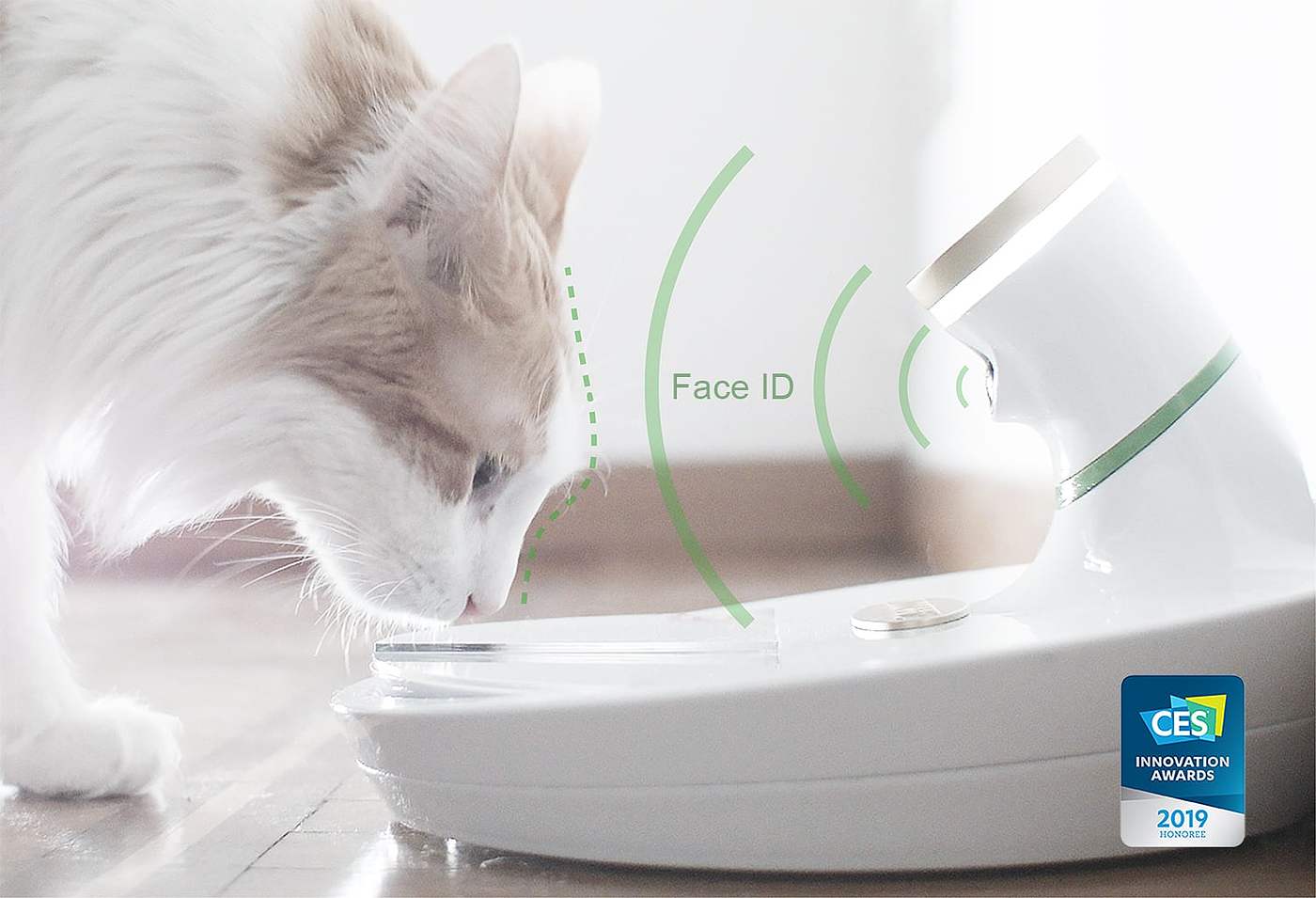Pets，cat，ai，bowl，camera，