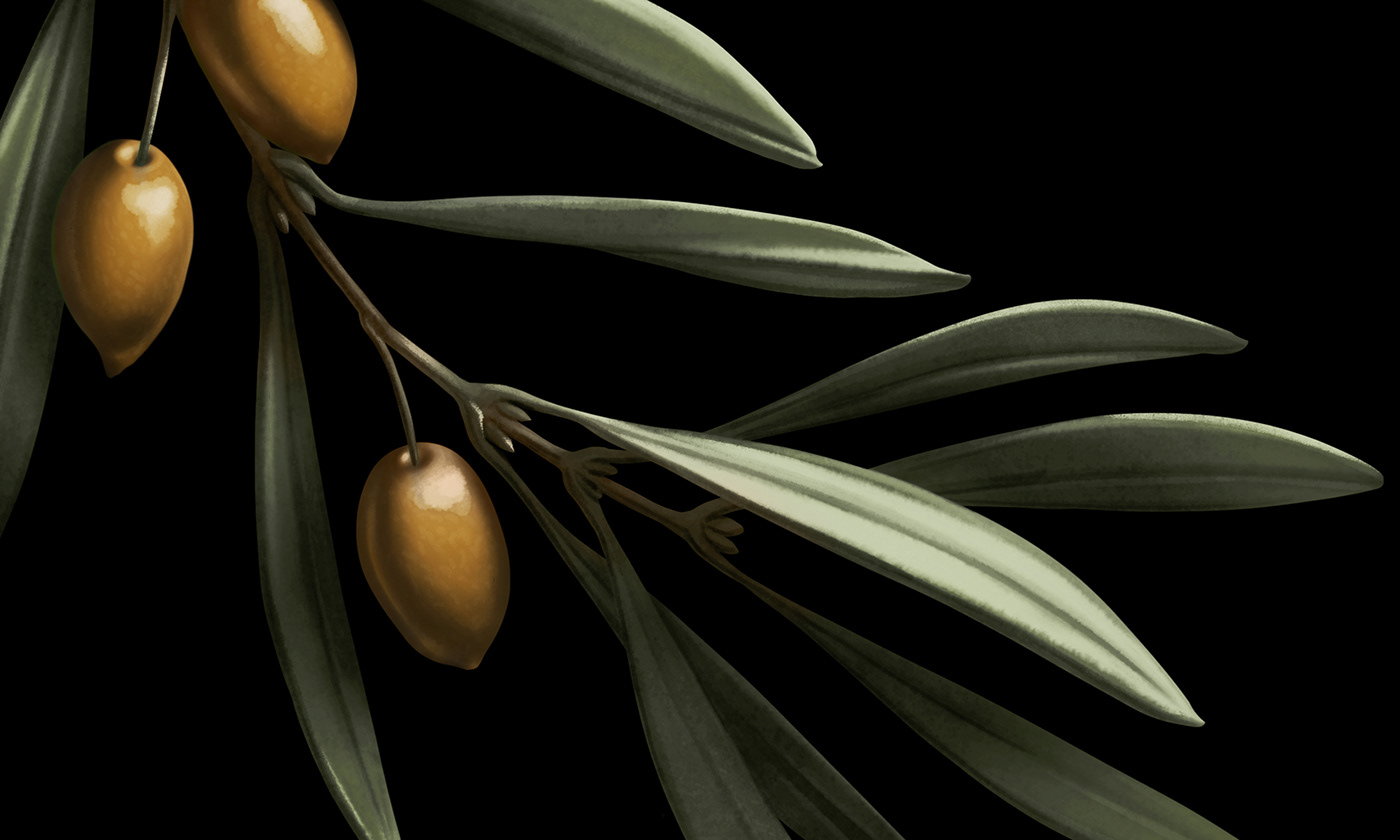 Extra virgin olive oil ，DUE LACRIMA，Olive oil，