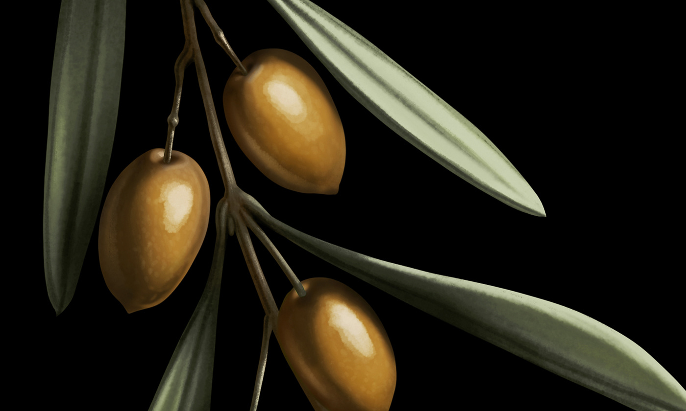 Extra virgin olive oil ，DUE LACRIMA，Olive oil，