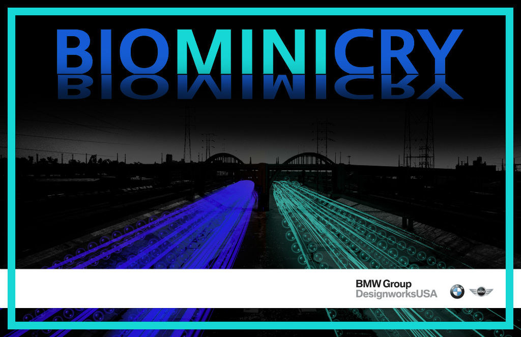 bmw，automobile，Los Angeles，challenge round，