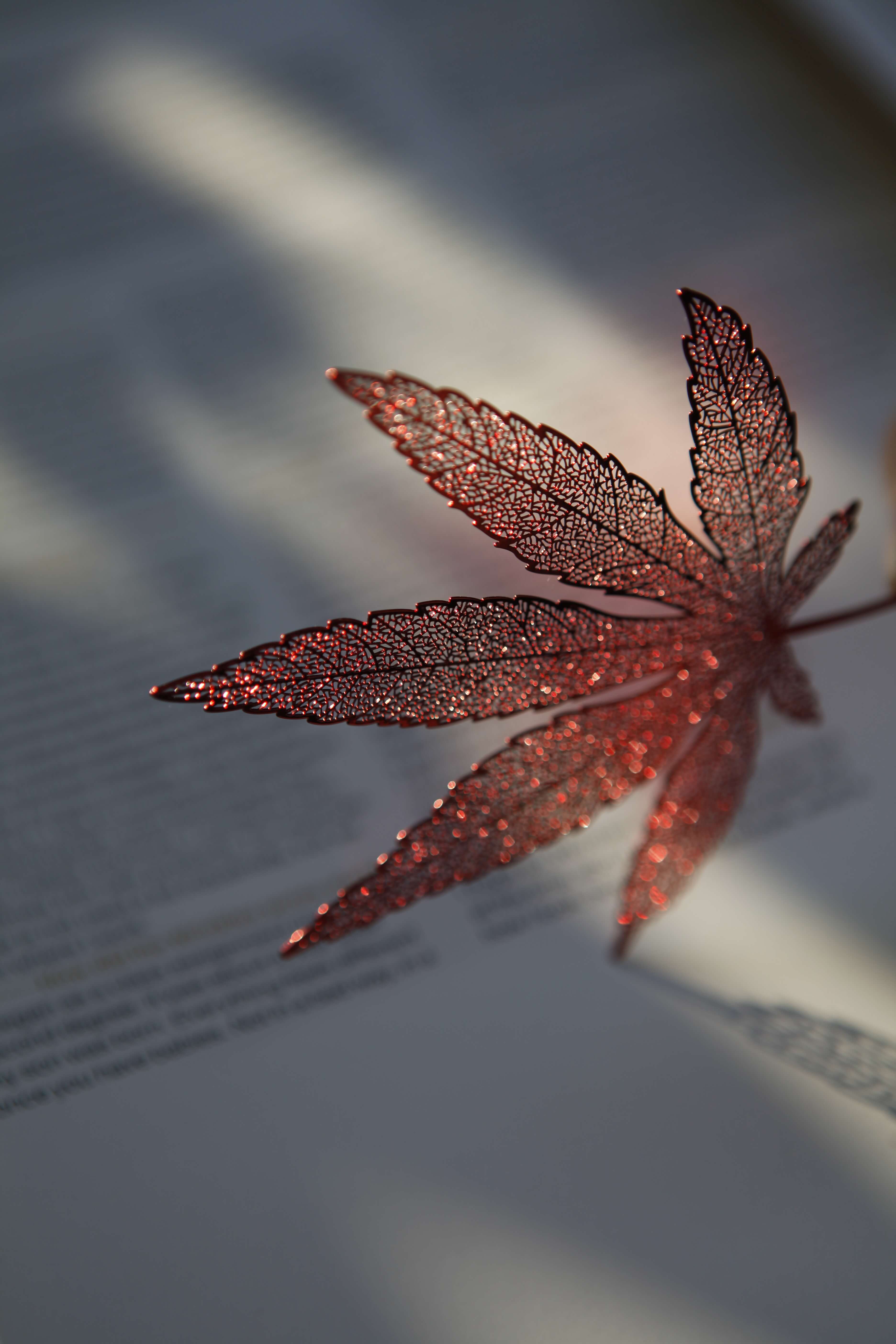 bookmark，delicate，In the palm of your hand，gift，packing，Design，