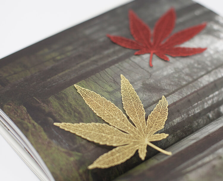 bookmark，delicate，In the palm of your hand，gift，packing，Design，