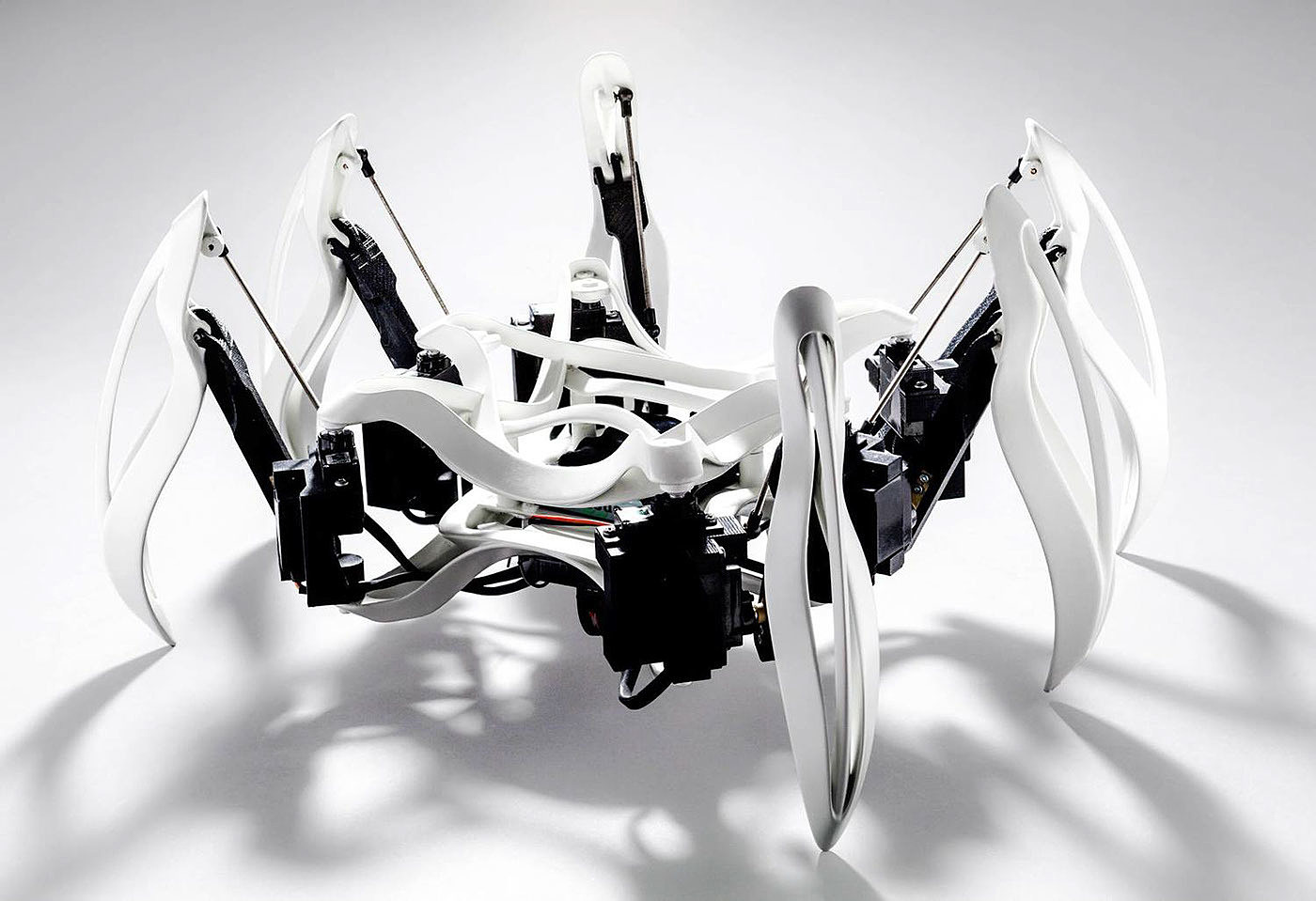 science and technology，animal，originality，industrial design，product design，Model，