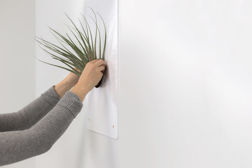 atifox，Minimalist，doctrine，Design，originality，