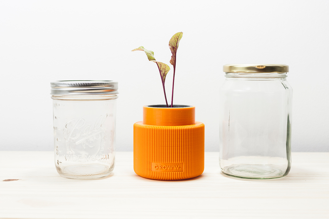 Botany，Mini，greenhouse，originality，Design，