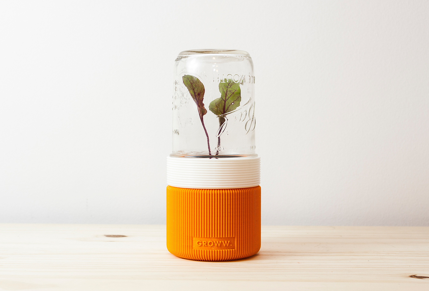 Botany，Mini，greenhouse，originality，Design，