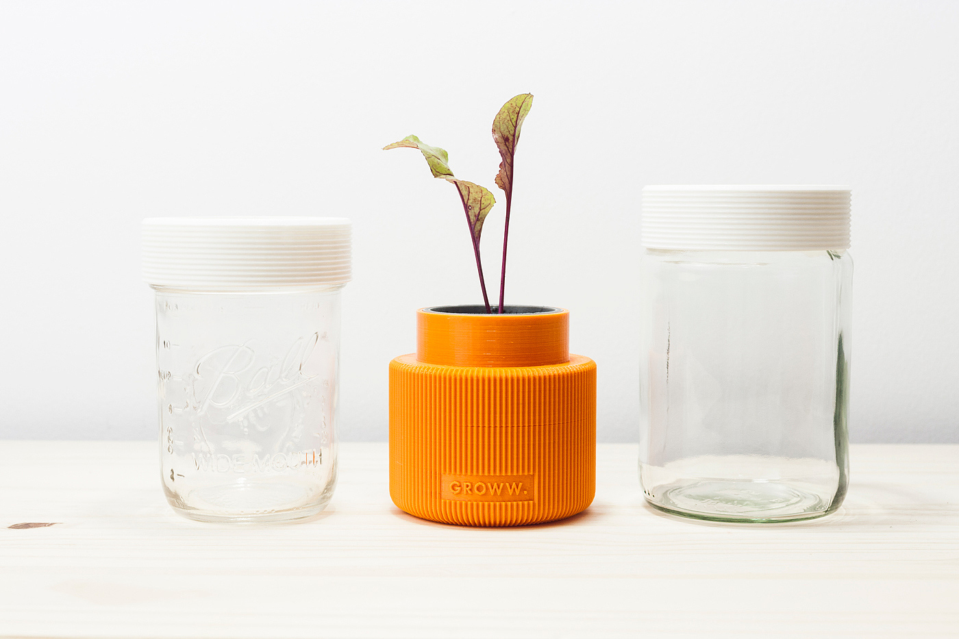 Botany，Mini，greenhouse，originality，Design，
