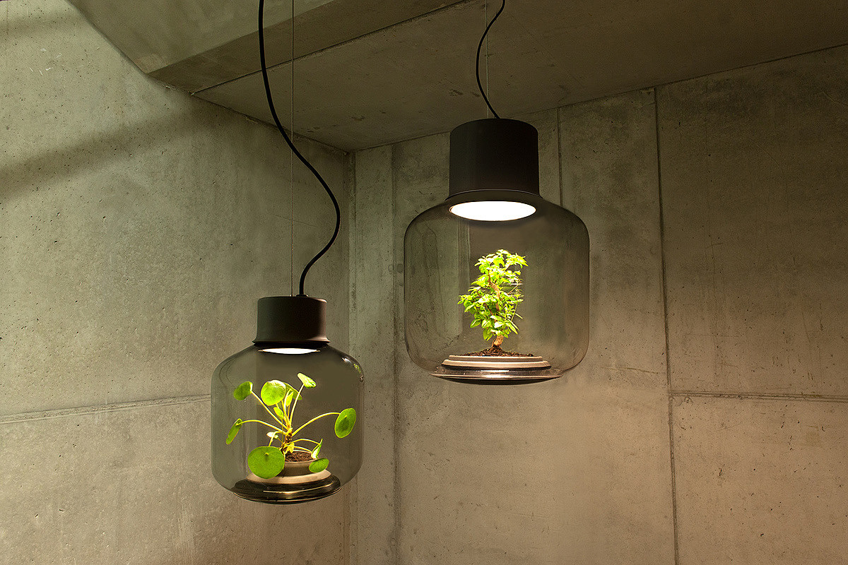 植物，灯，设计，创意，绿色，