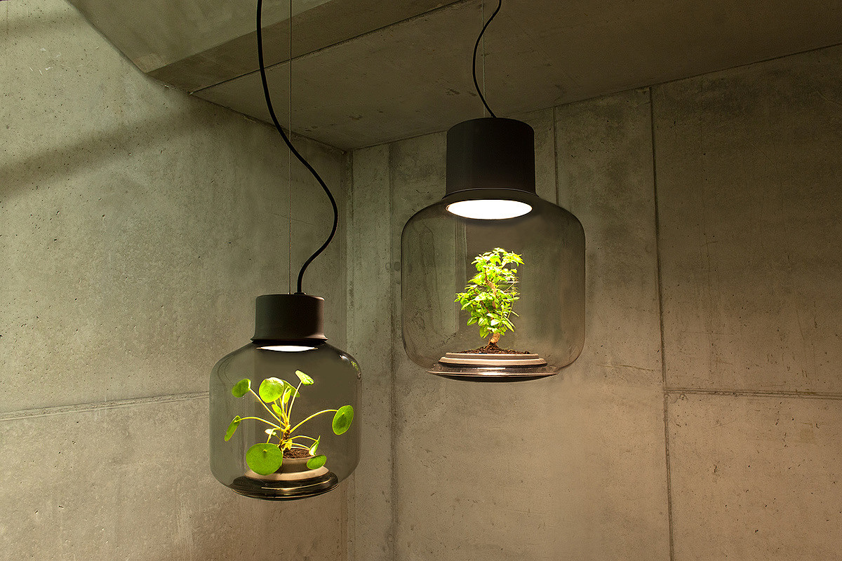 Botany，lamp，Design，originality，green，