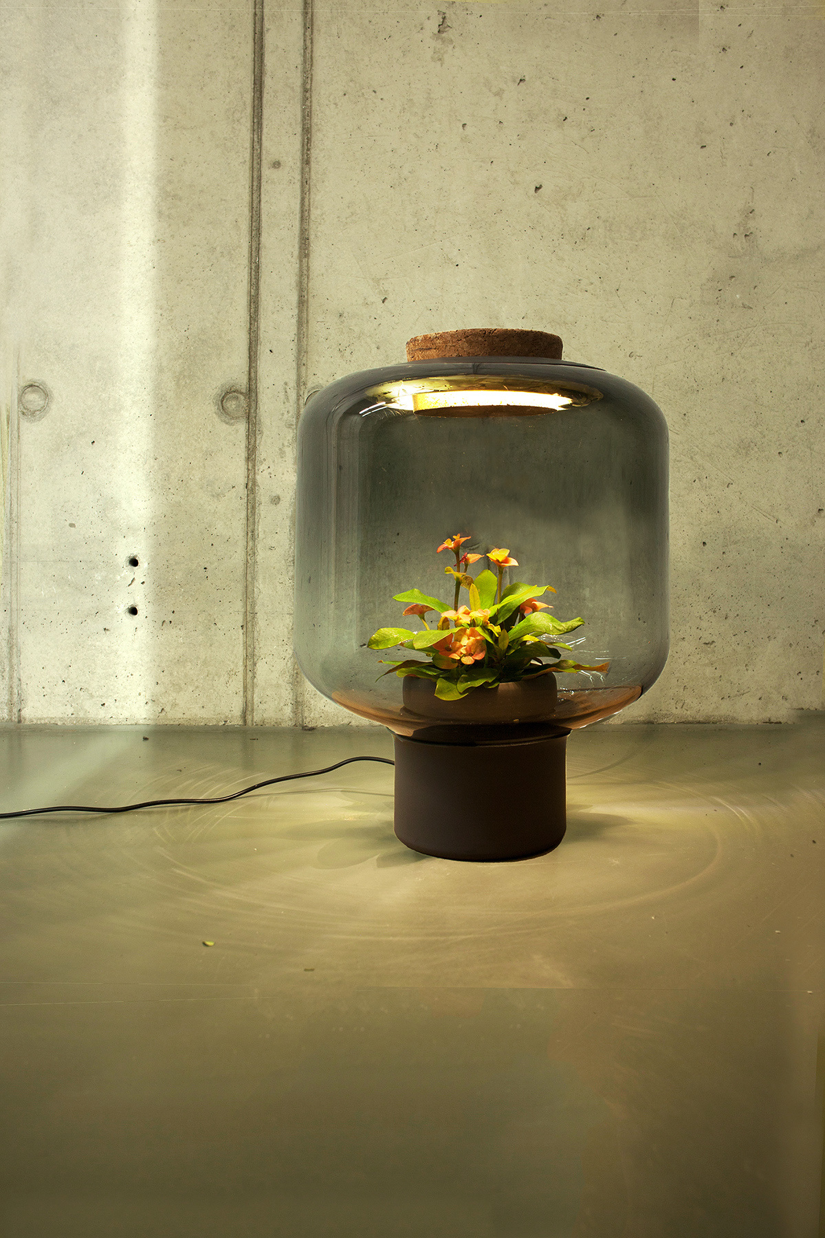 Botany，lamp，Design，originality，green，