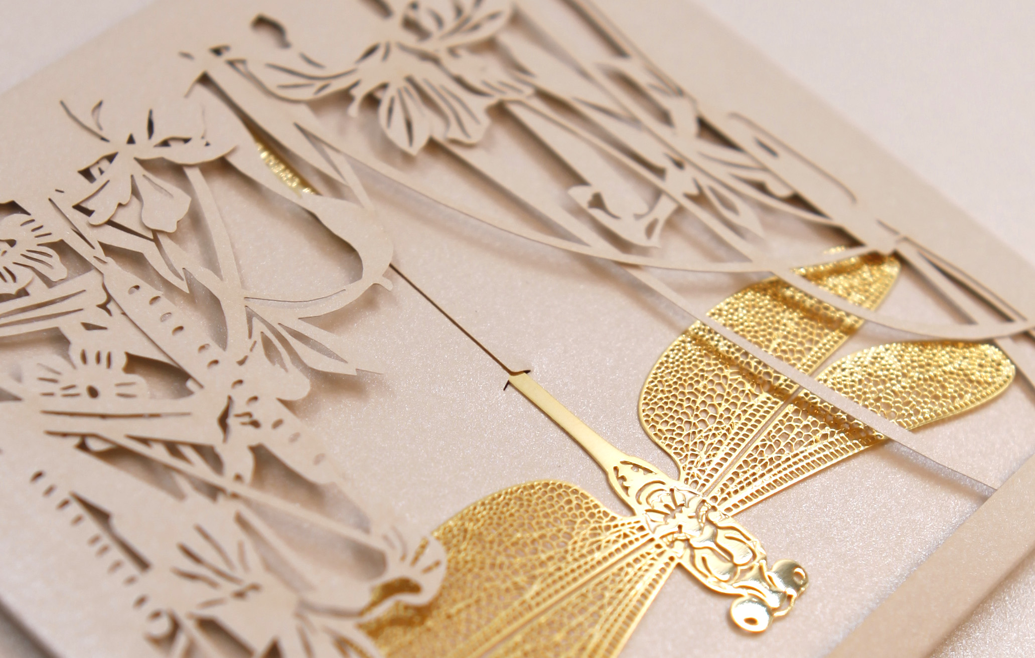 bookmark，delicate，dragonfly，Design，packing，