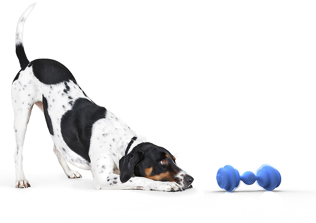 product design，industrial design，intelligence，Pets，care，