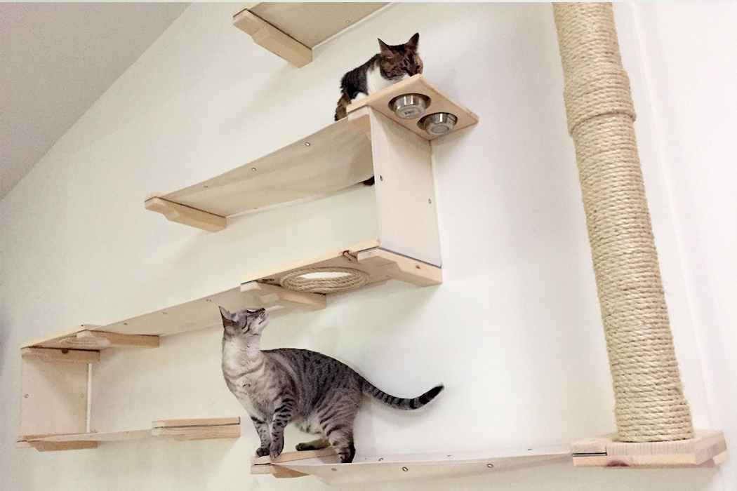 product design，industrial design，Pets，originality，care，