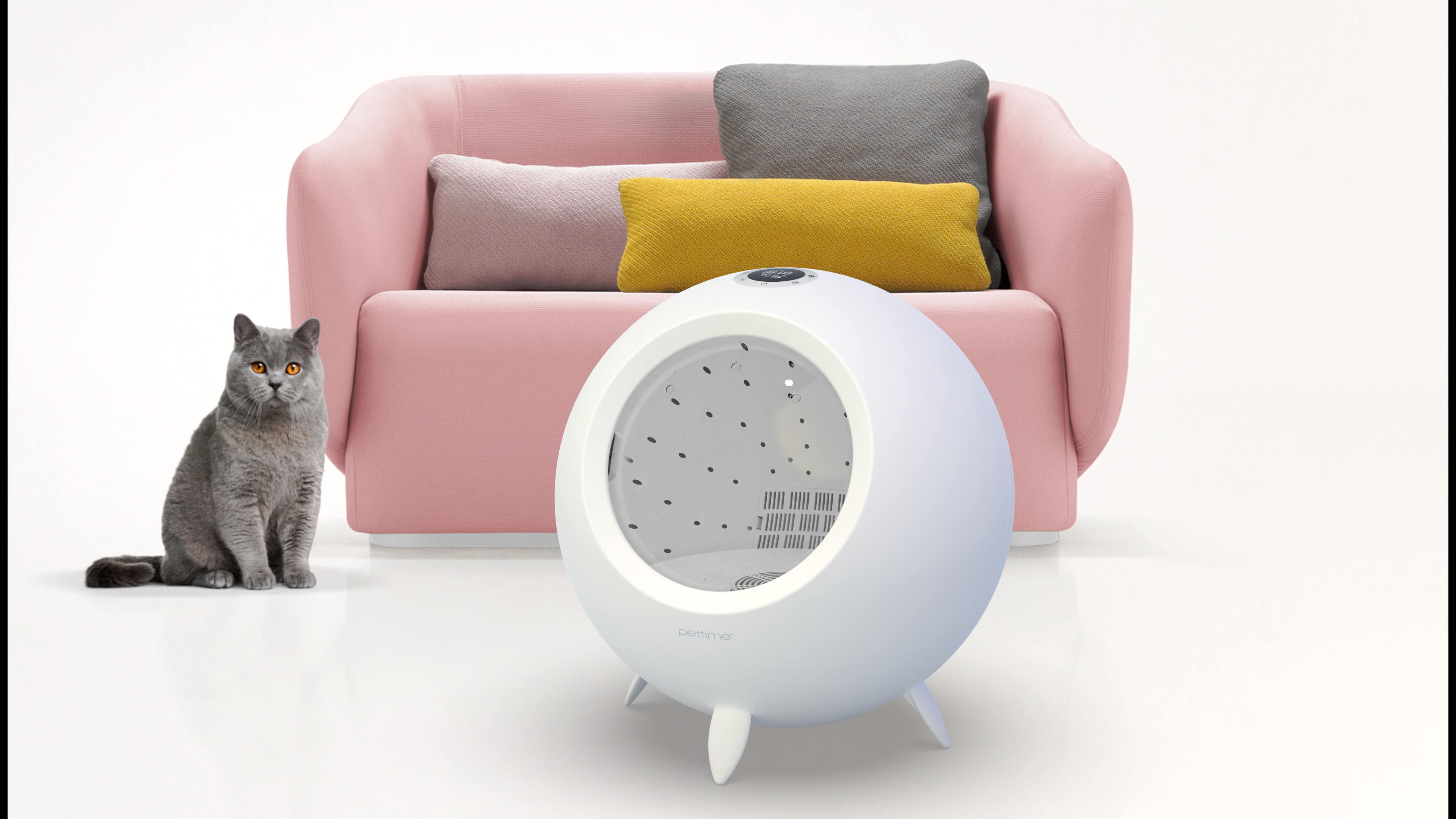 Cat star man，dog，Pets，Space capsule，spherical，