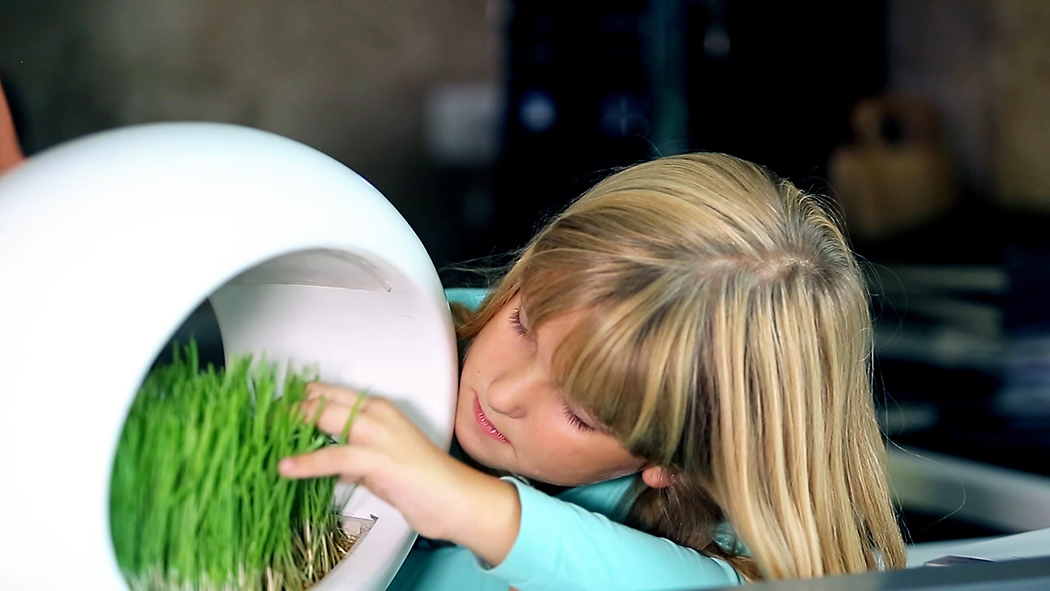 product design，industrial design，Home Furnishing，originality，User experience，