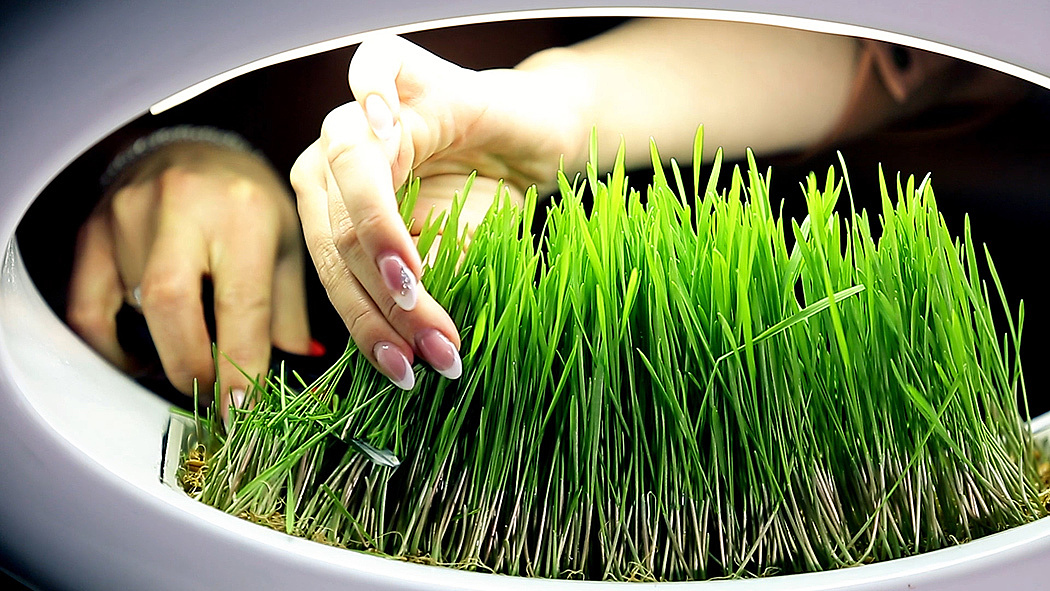 product design，industrial design，Home Furnishing，originality，User experience，