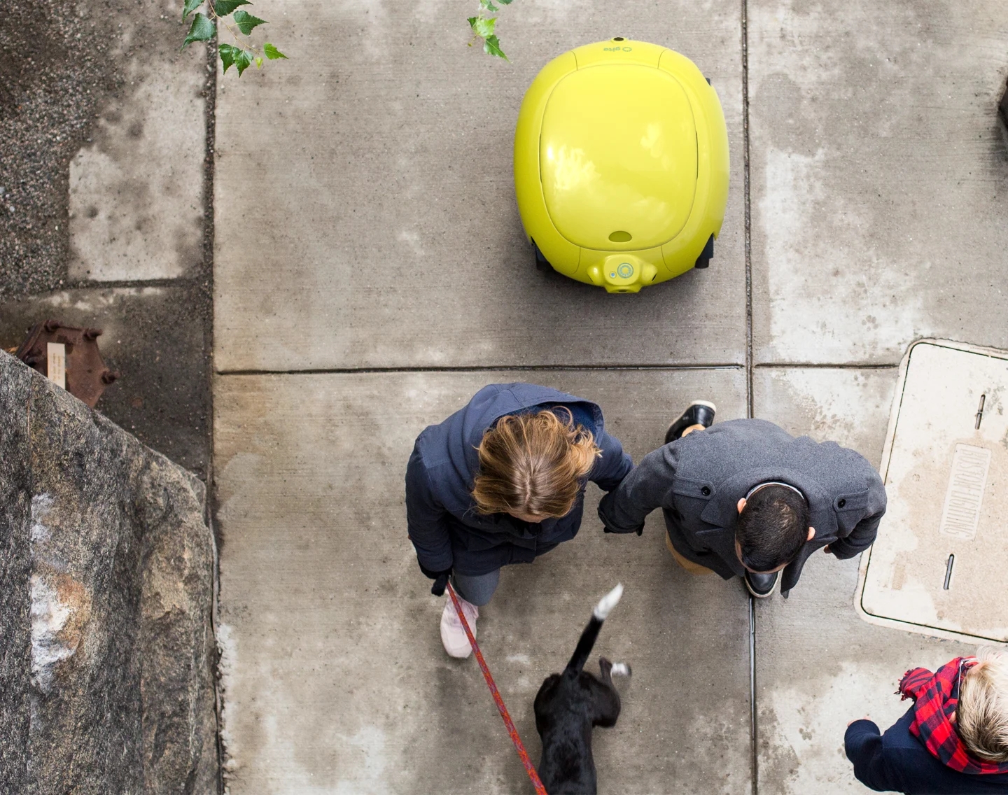 gita Robot，Cargo robot，artificial intelligence，2020 red dot product design award，