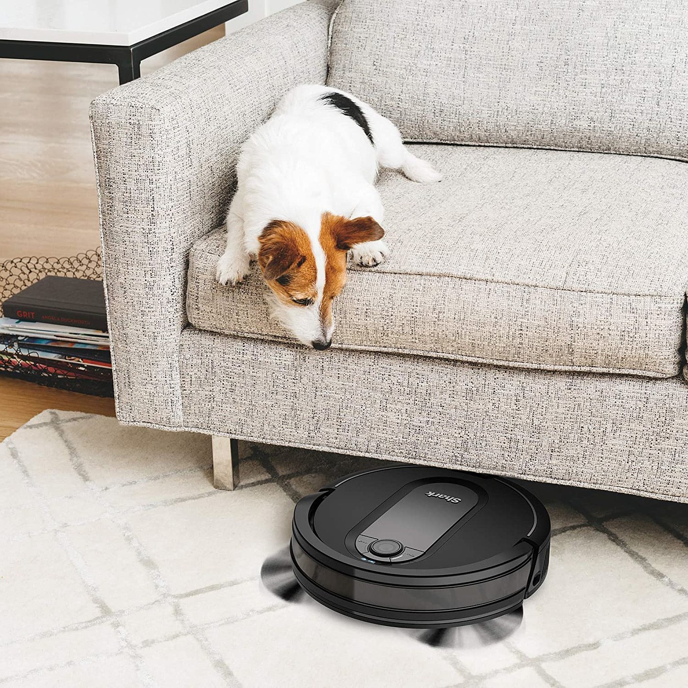 2020 red dot product design award，intelligence，Sweeping robot，black，Simplicity，