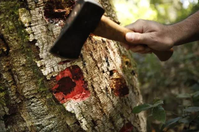 furniture，Home Furnishing，Material Science，product，Design，