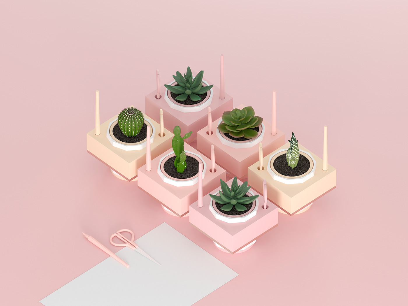 Flowerpot，Pink，Botany，Simplicity，