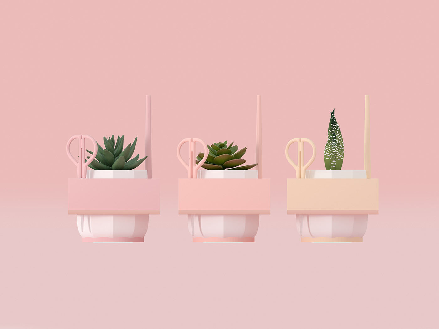 Flowerpot，Pink，Botany，Simplicity，