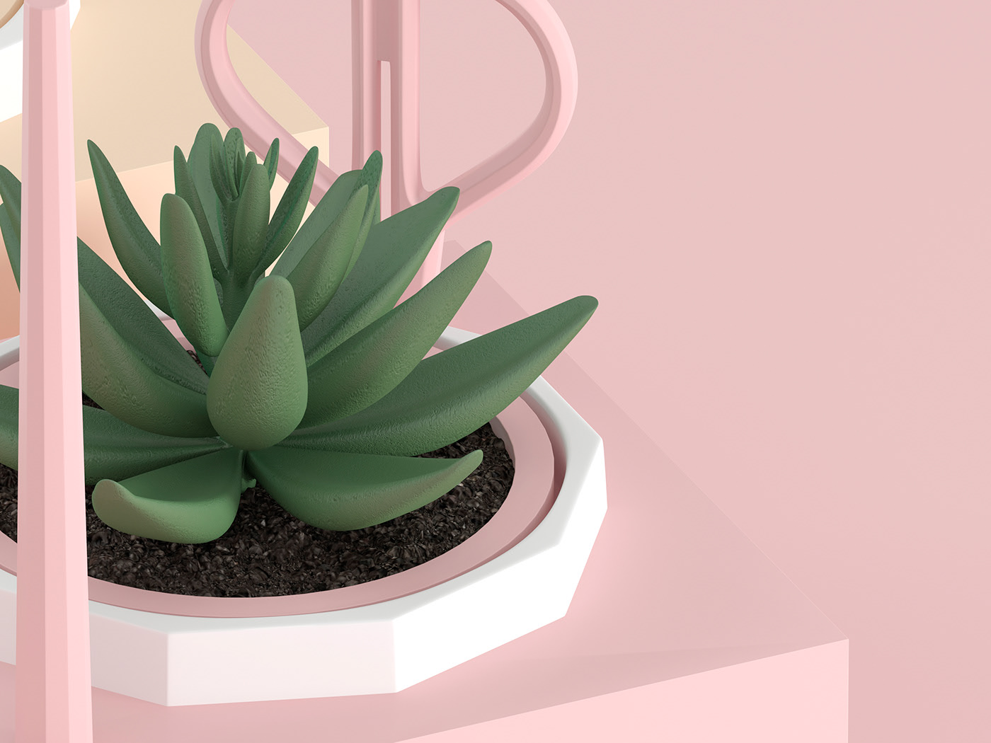 Flowerpot，Pink，Botany，Simplicity，
