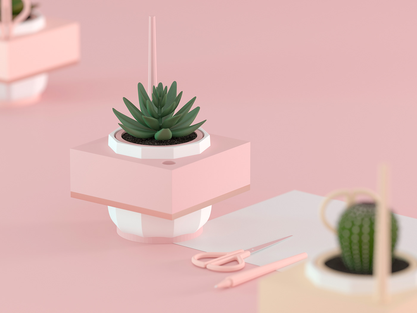 Flowerpot，Pink，Botany，Simplicity，