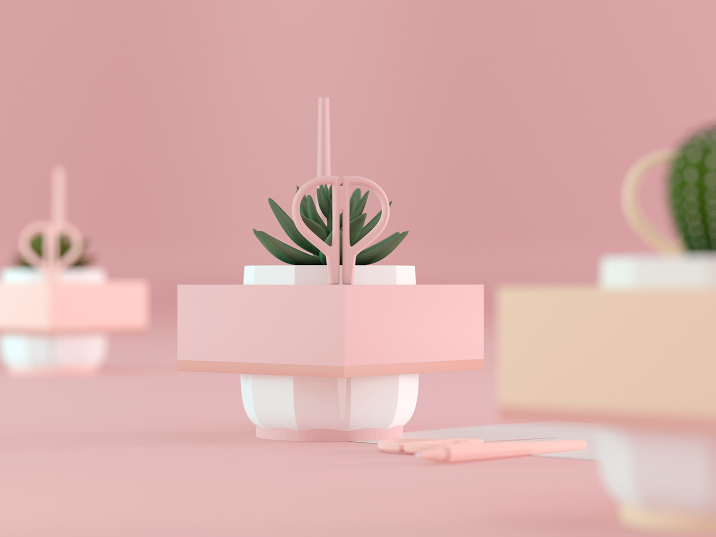 Flowerpot，Pink，Botany，Simplicity，
