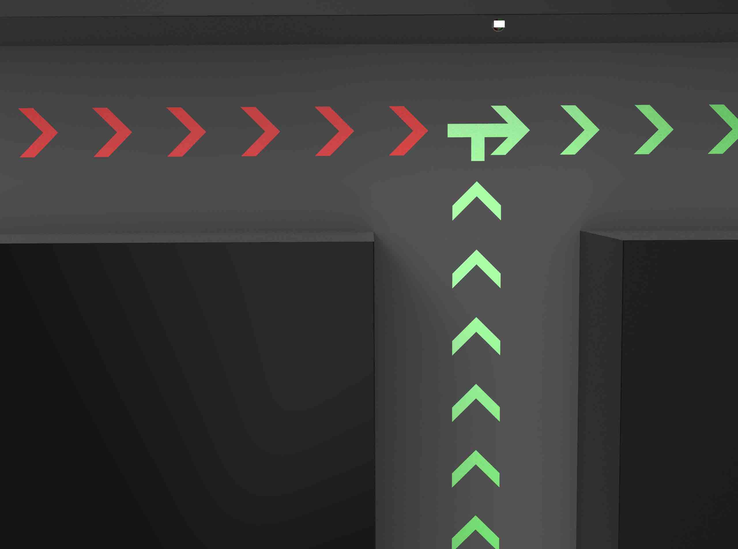 public occasions，Projection，