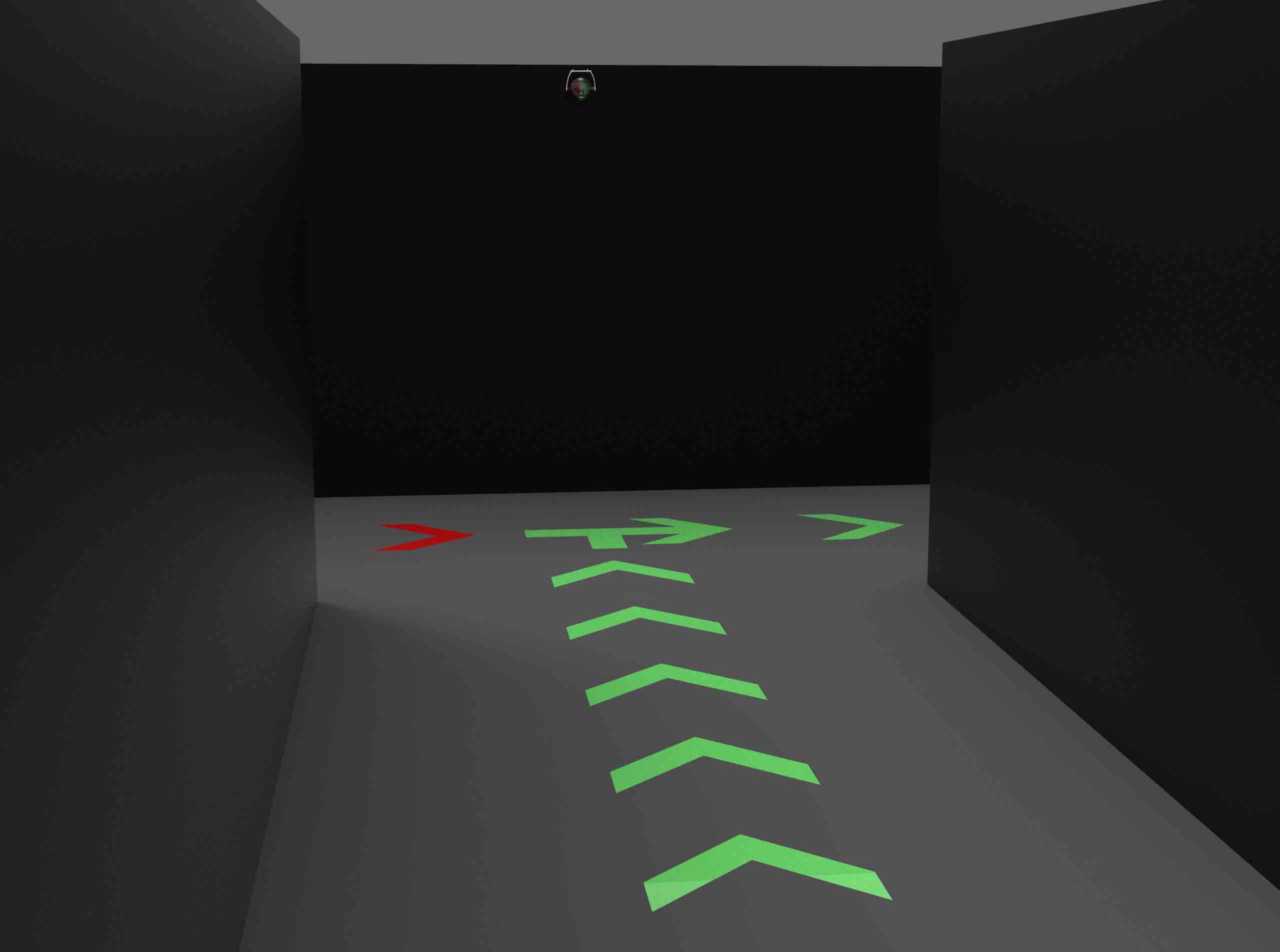 public occasions，Projection，