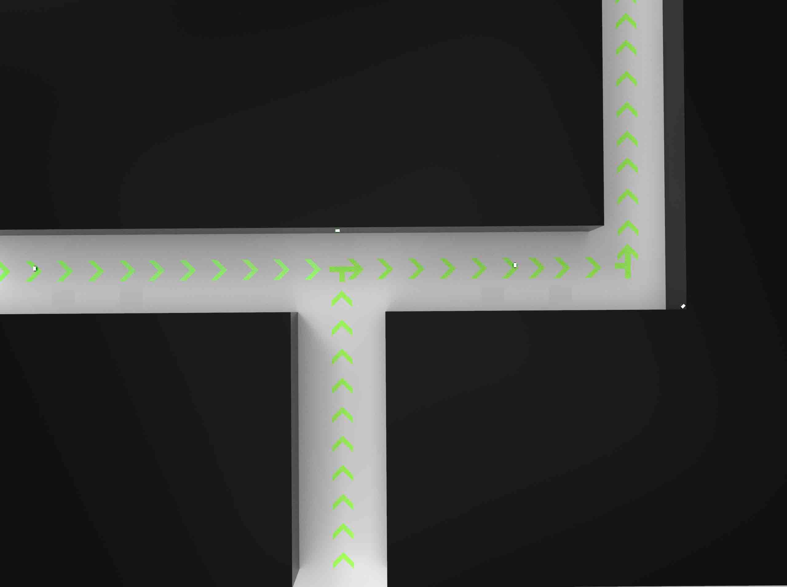 public occasions，Projection，