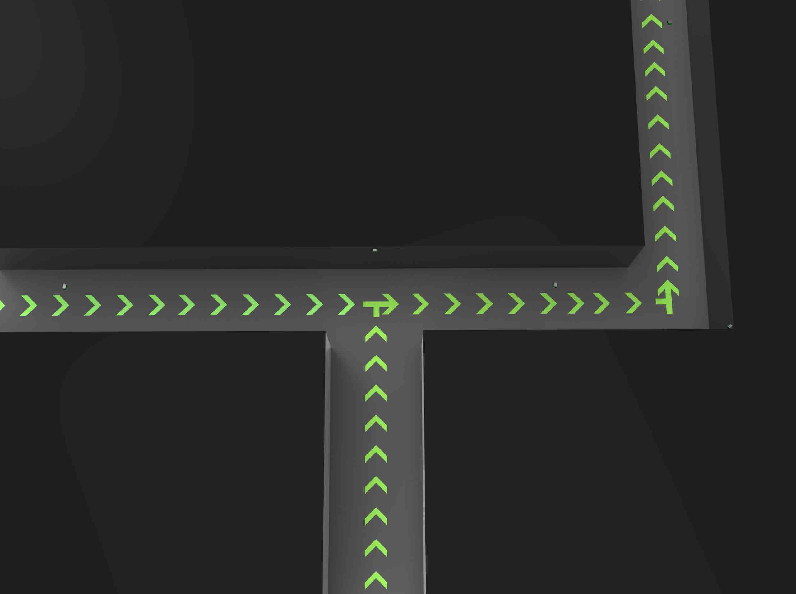 public occasions，Projection，