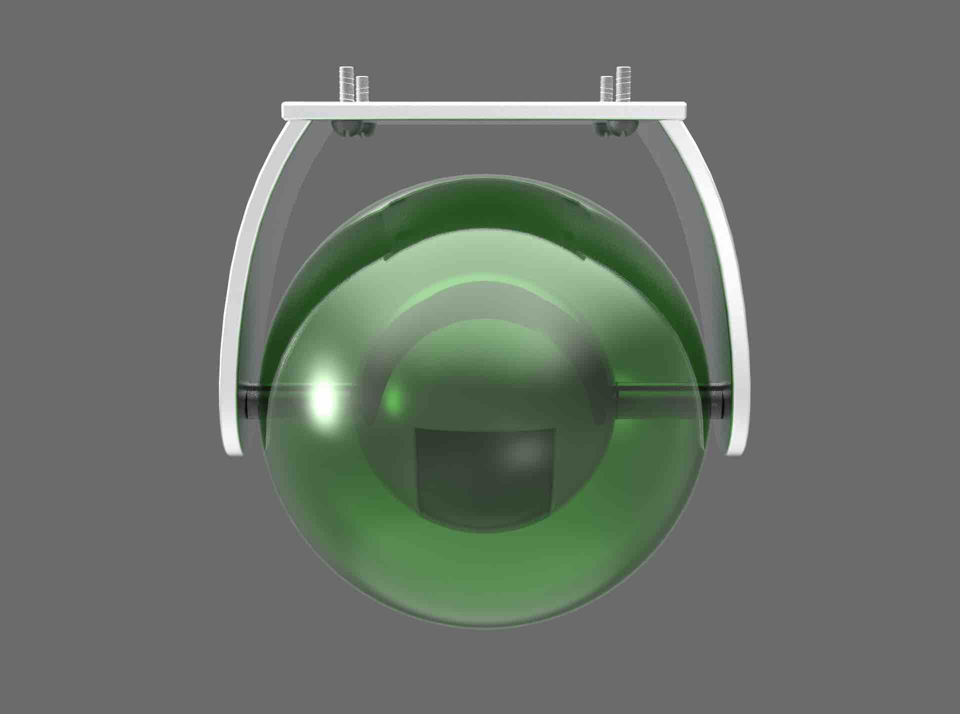 public occasions，Projection，