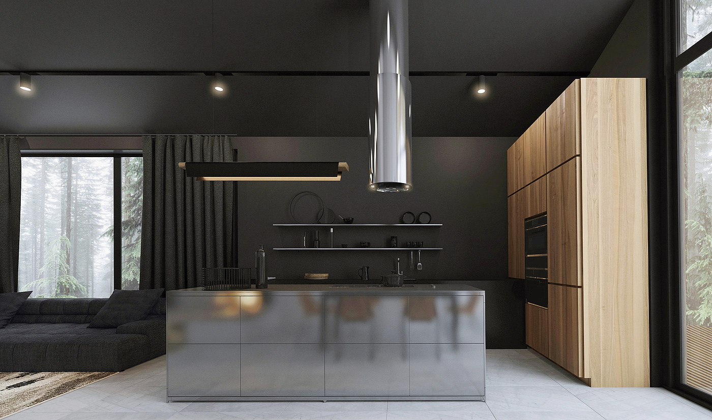 forest，Black & White，house，Interior design，