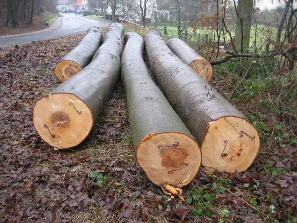 furniture，Home Furnishing，Toys，product，Design，