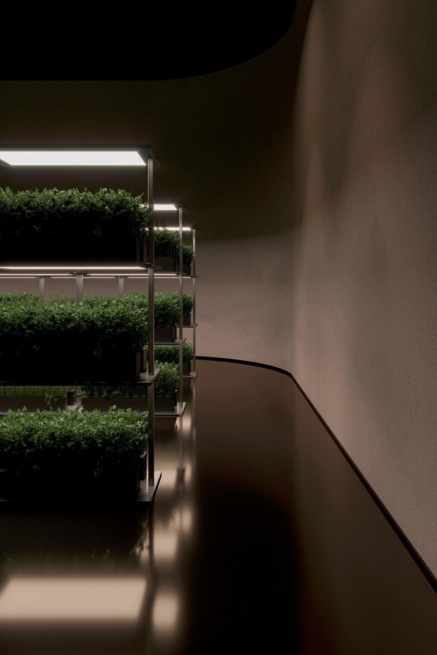 residence，underground，Art，modern，