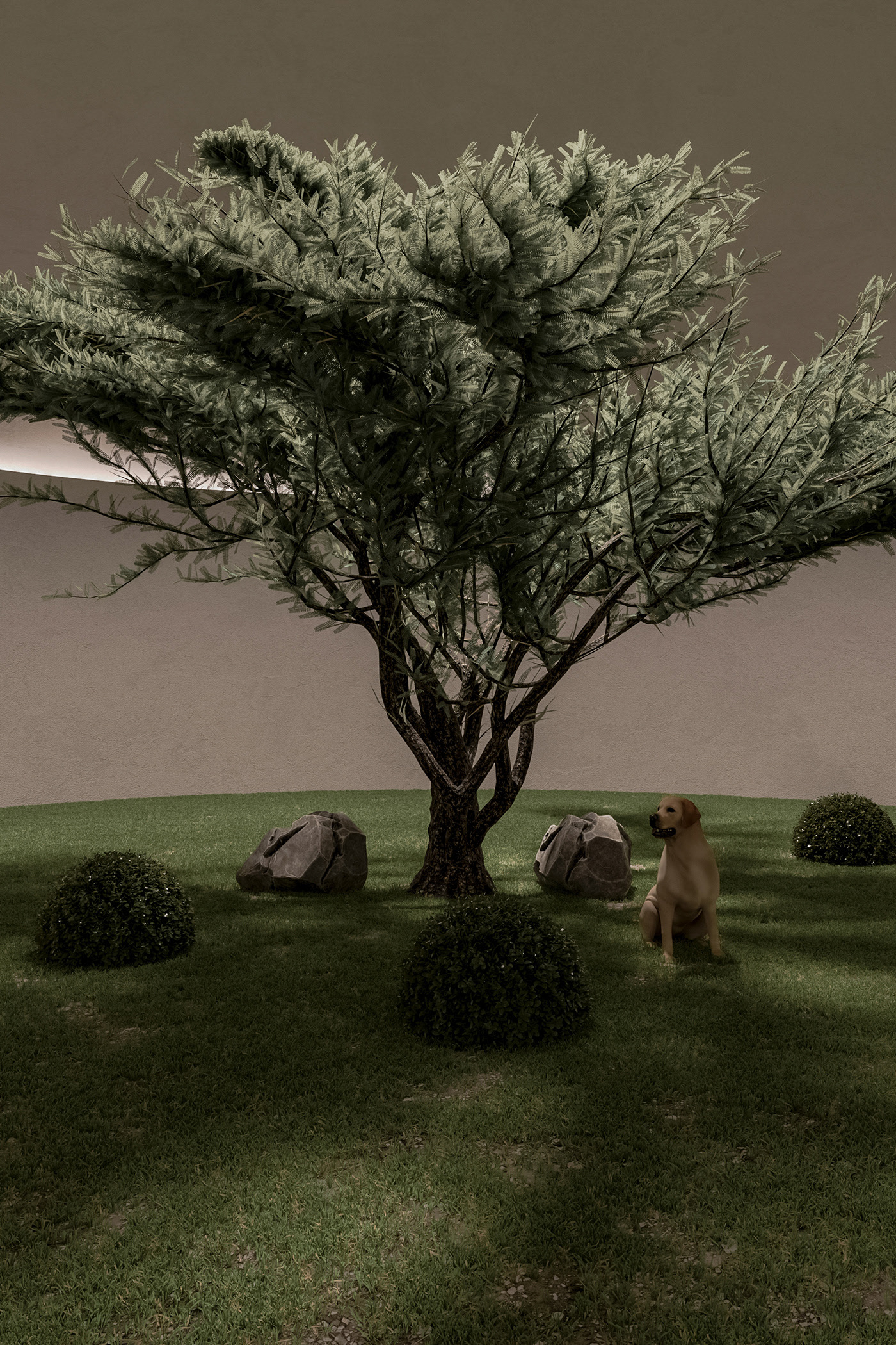 residence，underground，Art，modern，