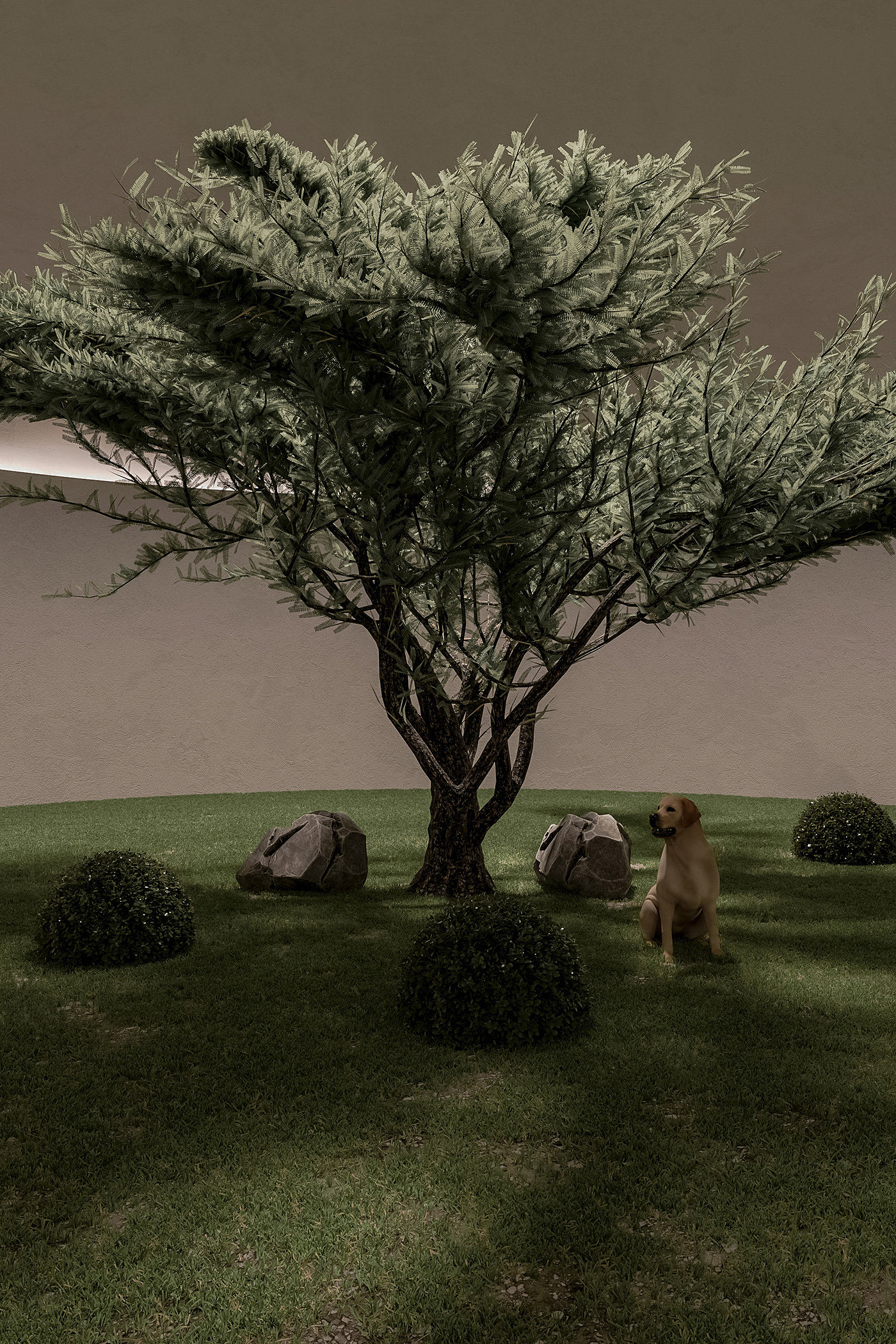residence，underground，Art，modern，