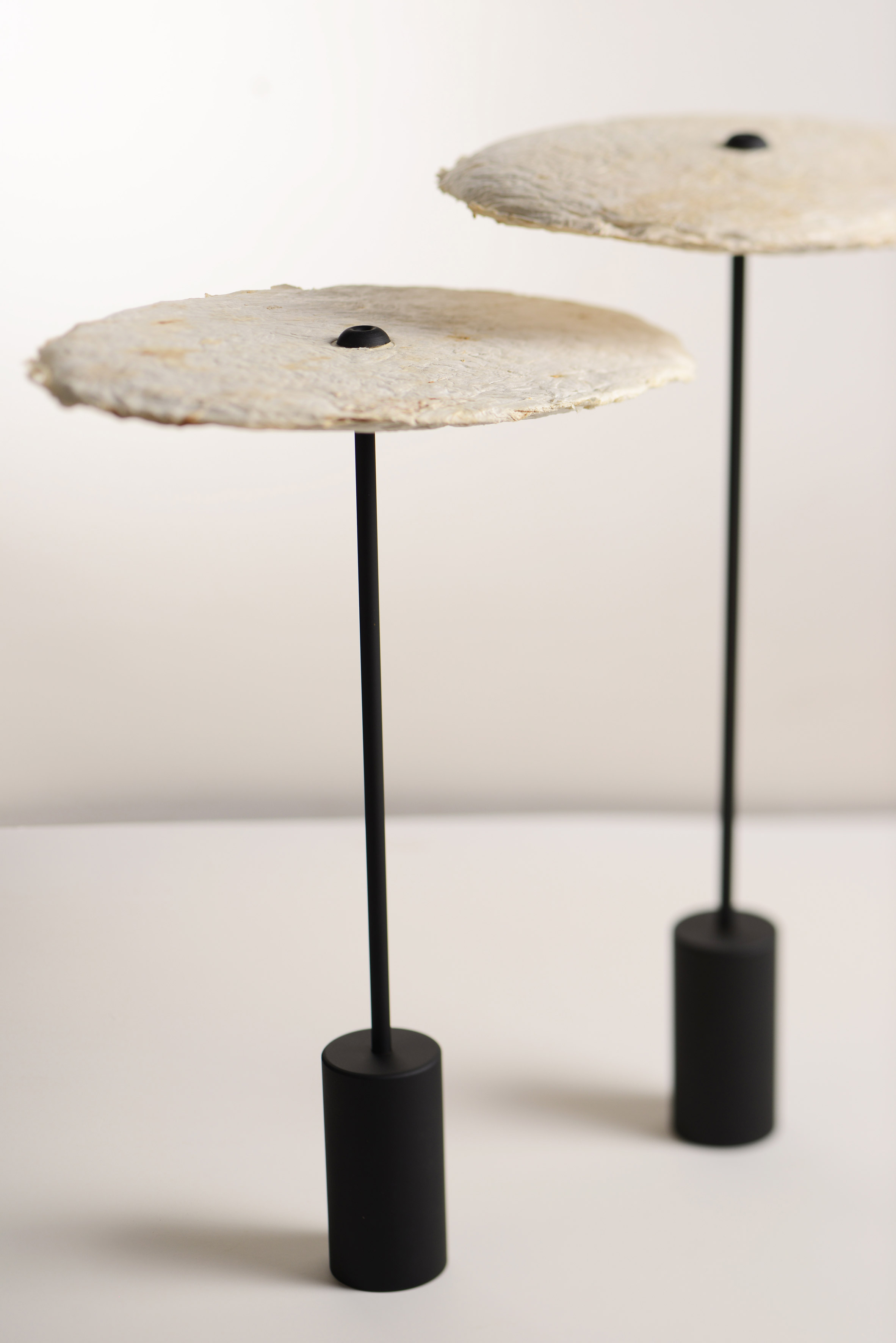 lighting，sustainable，Mushroom mycelium，Desk lamp，