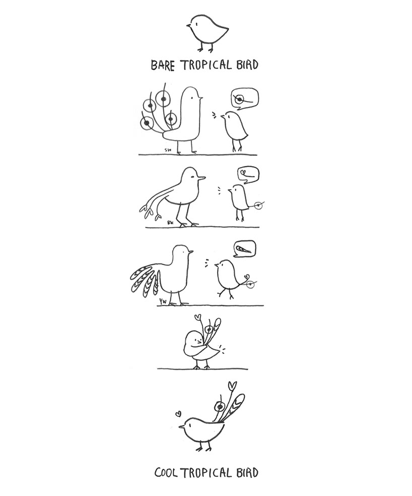 pen container，Tropical bird，Feather，Red Dot Design Award，