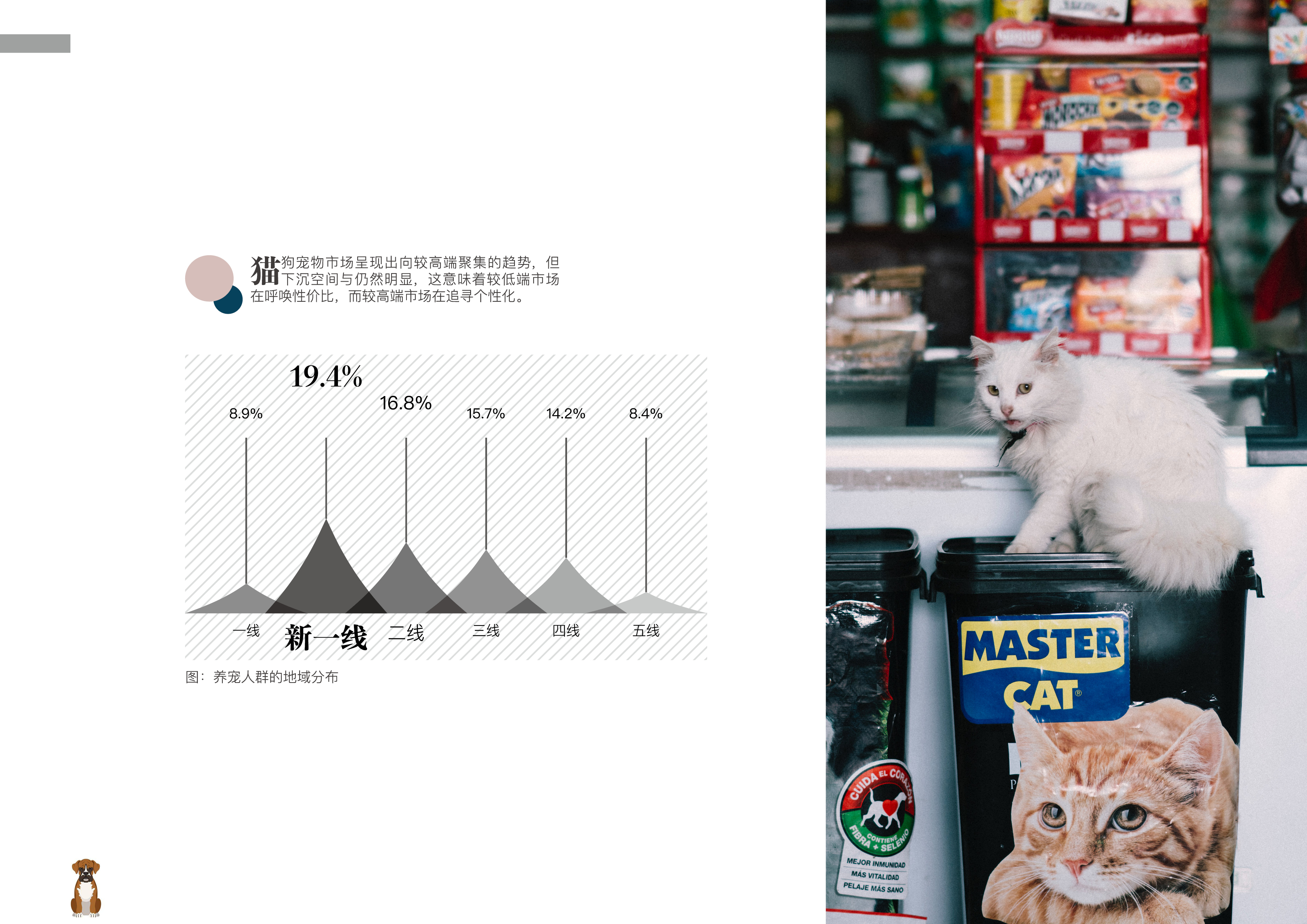 Graduation project，