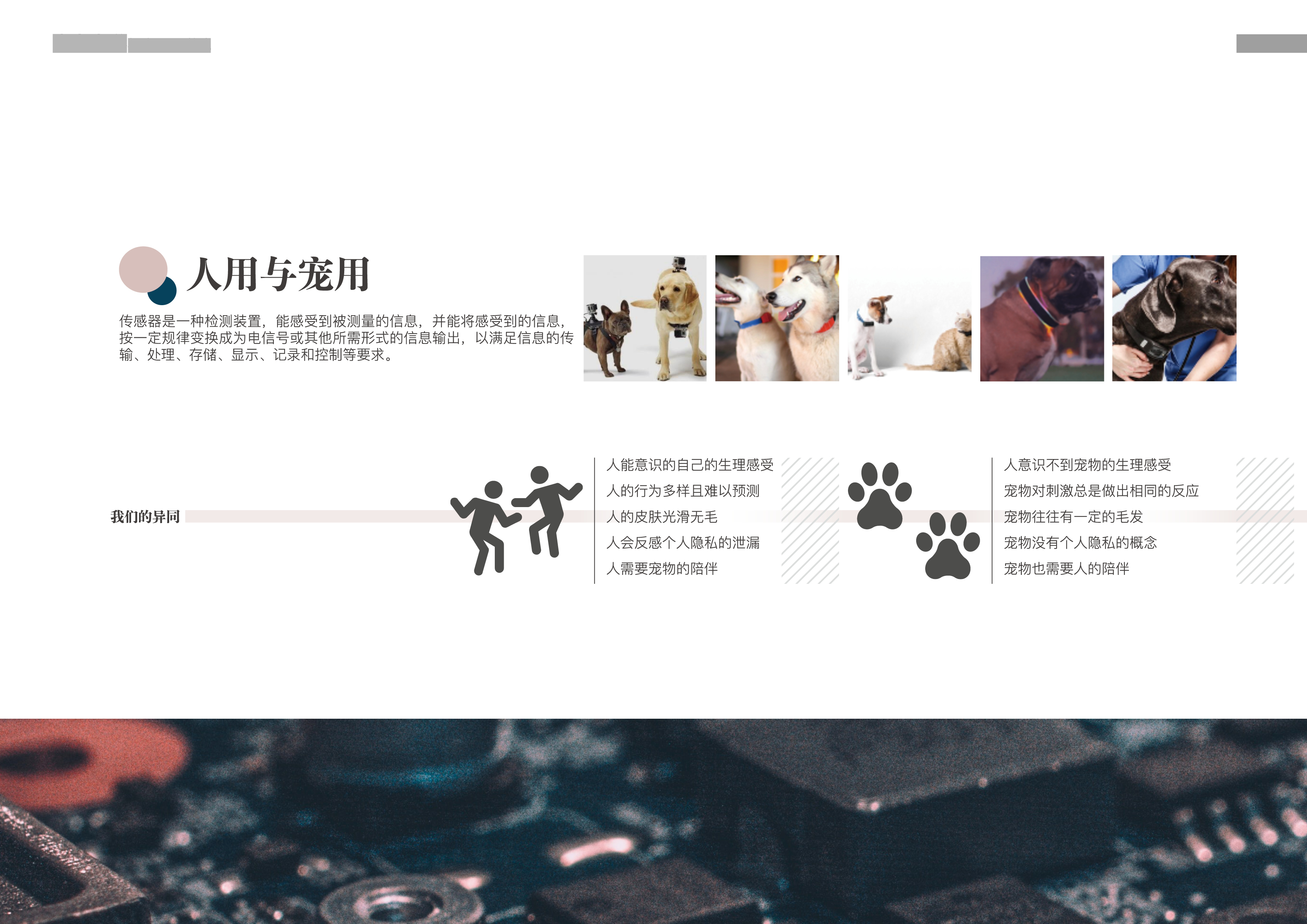 Graduation project，