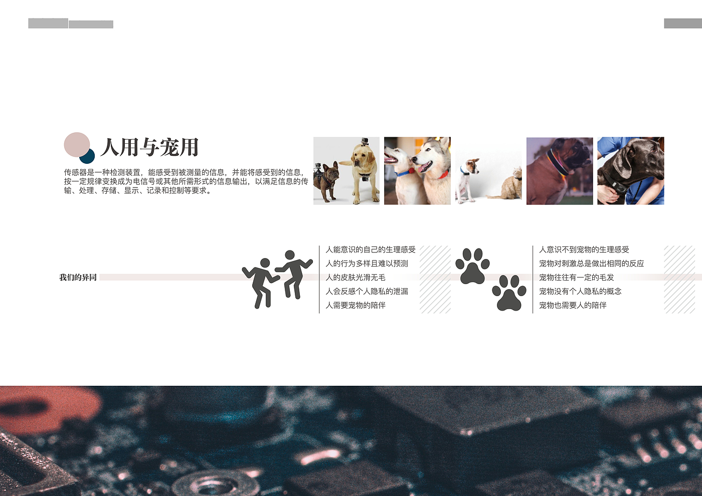 Graduation project，