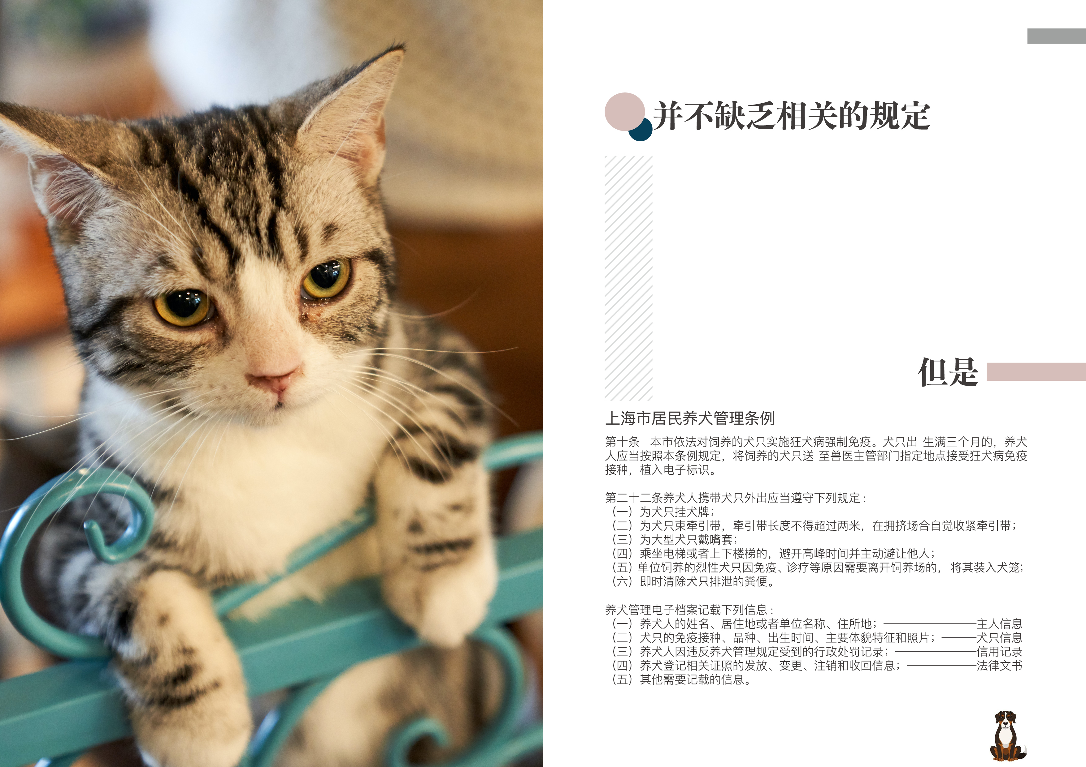 Graduation project，