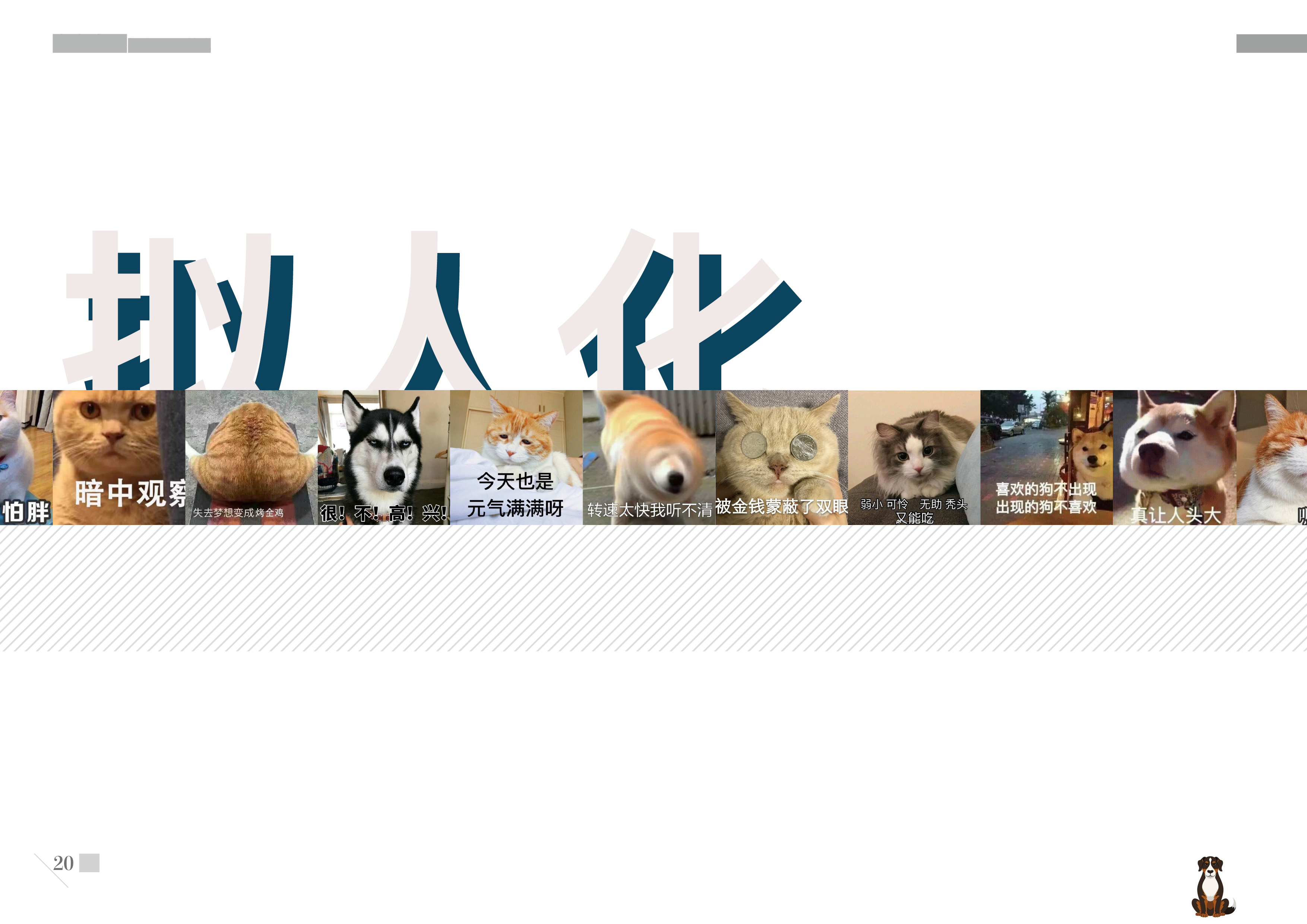 Graduation project，