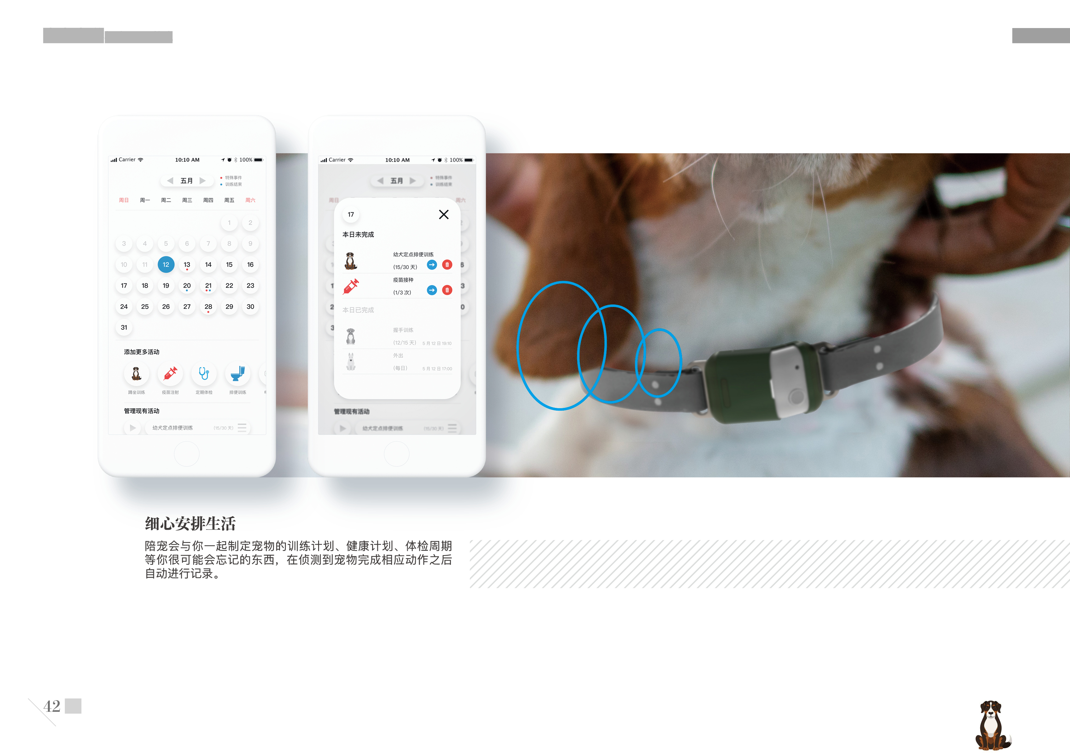 Graduation project，