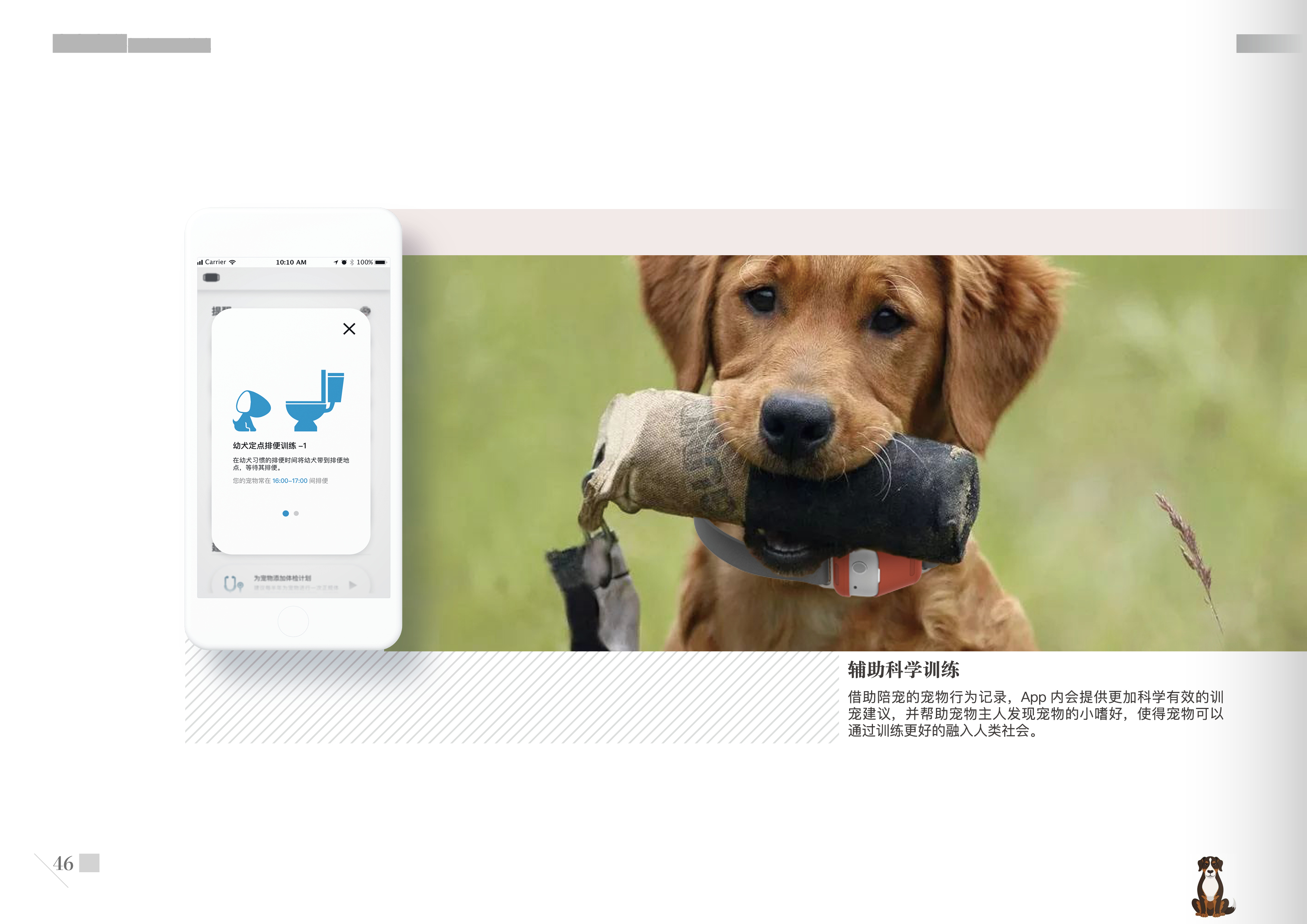 Graduation project，