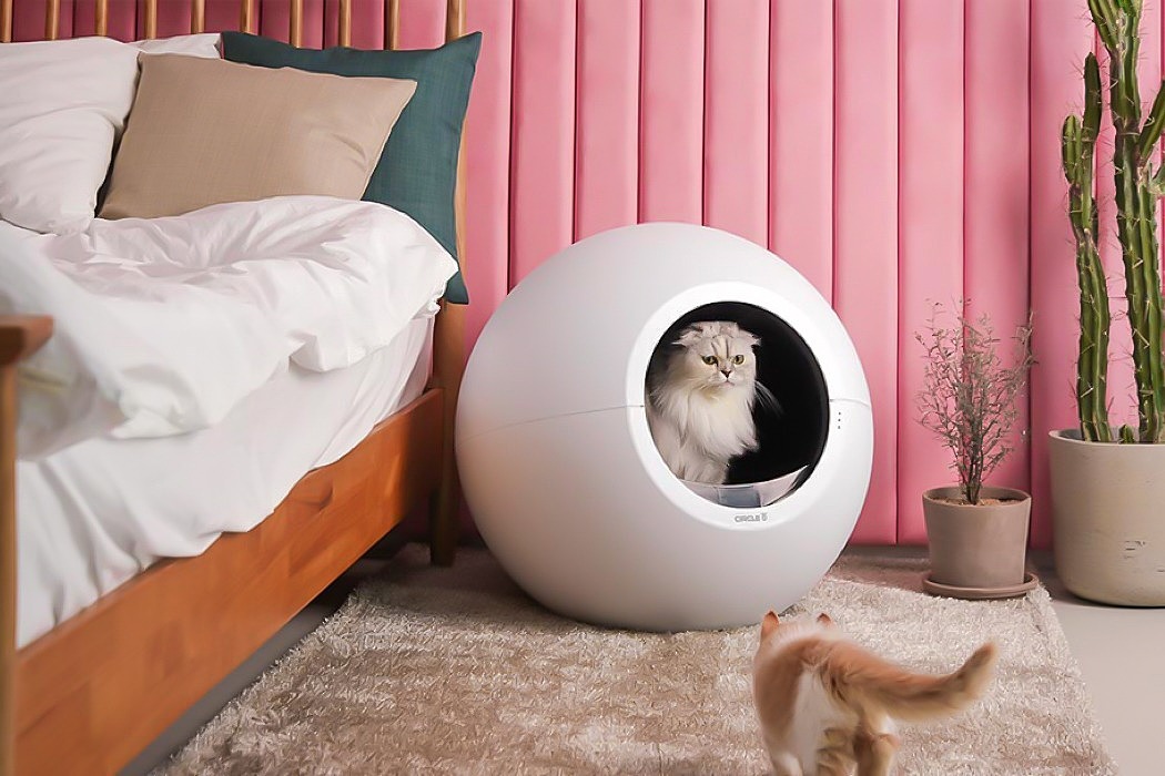 Kitty，Toilet，sensor，camera，